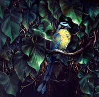 Wildlife And Nature Art - The Jay Taking Shelter - Acrylics