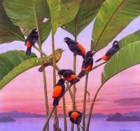 Birds Of Kenya - Acrylics Mixed Media - By Simba   Robert Makoni, Mixed Media Mixed Media Artist