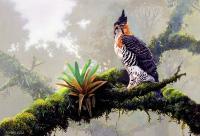 Ornate Hawk-Eagle - Acrylics Mixed Media - By Simba   Robert Makoni, Mixed Media Mixed Media Artist