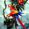 Macaw Parrot - Acrylics Mixed Media - By Simba   Robert Makoni, Mixed Media Mixed Media Artist