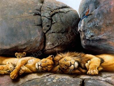 Wildlife And Nature Art - Resting Pride - Oil On Canvas