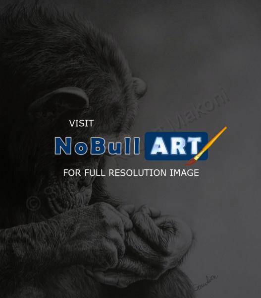 Wildlife And Nature Art - Monkey Business - Pencil Charcoal