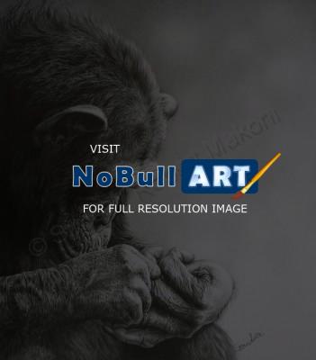Wildlife And Nature Art - Monkey Business - Pencil Charcoal