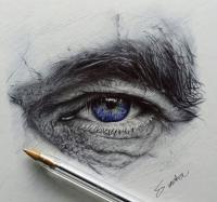 Art Skills - Pen Drawing Demo - Ink Pen