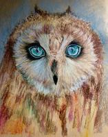 Wildlife - Untitled Pastel - Soft Pastels