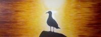 Seagull - Oil On Canvas Paintings - By Aubin De Jongh, Reallism Painting Artist