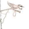 Bird Sitting On A Rusty Nail - Pencil On Paper Drawings - By Aubin De Jongh, Reallism Drawing Artist