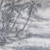 Beach With Coconut - Moorea French Polynesia - Pencil Drawing Drawings - By Dave Barazsu, Realisic Drawing Artist