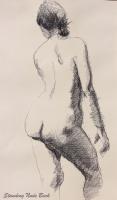 Nudes - Standing Nude Back - Pencil Drawing
