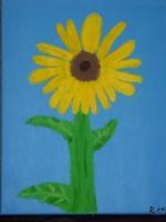 Paintings - A Sunflower - Oil