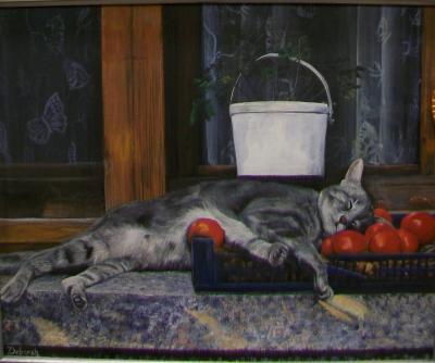 Animals - Catnap - Acrylic On Board