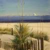 Drift Fence And Sea Oats - Acrylic On Board Paintings - By Deborah Boak, Realism Painting Artist