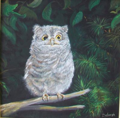 Birds - Baby Screech Owl - Acrylic On Board