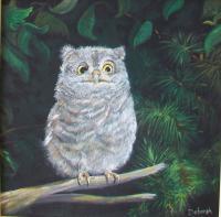 Baby Screech Owl - Acrylic On Board Paintings - By Deborah Boak, Realism Painting Artist