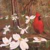 Cardinal  Dogwoods - Acrylic On Board Paintings - By Deborah Boak, Realism Painting Artist