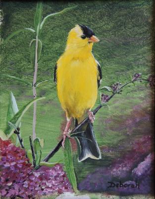 Birds - American Goldfinch - Acrylic On Board