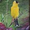 American Goldfinch - Acrylic On Board Paintings - By Deborah Boak, Realism Painting Artist