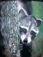 Rocky Raccoon II - Acrylic On Steel Wclearcoat Paintings - By Deborah Boak, Realism Painting Artist