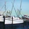 Apalachicola Shrimpers - Acrylic On Board Paintings - By Deborah Boak, Realism Painting Artist