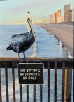 Birds - Pelican Rules - Acrylic On Board