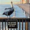 Pelican Rules - Acrylic On Board Paintings - By Deborah Boak, Realism Painting Artist