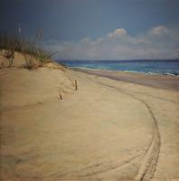 Landscapes  Seascapes - Tracks On The Beach - Acrylic On Board