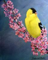 Birds - American Goldfinch - Acrylic On Board