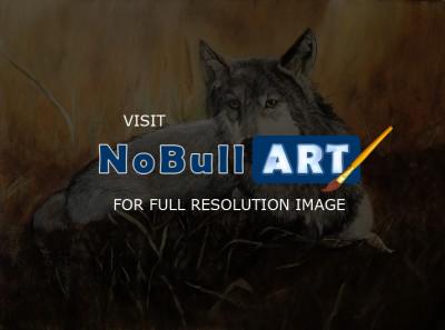 Animals - Lone Wolf - Acrylic On Board