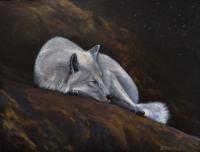 Animals - Sleeping Under The Stars - Acrylic On Board