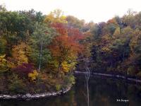 Fall On The Lake - Digital Photography - By Bonnie Kratzer, Nature Photography Artist