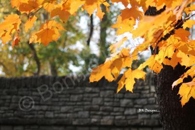 Fall Colors - Fall By The Bridge - Digital