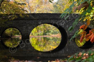 Fall Colors - Bridge Of Reflection - Digital