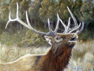 Wildlife - Early Autumn Hunger - Acrylic