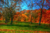 Autumn In The Park - Digital Photography - By Ronald Williams, Digitally Enhanced Photography Artist