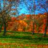 Autumn In The Park - Digital Photography - By Ronald Williams, Digitally Enhanced Photography Artist