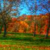 Autumn In The Park - Digital Photography - By Ronald Williams, Digitally Enhanced Photography Artist