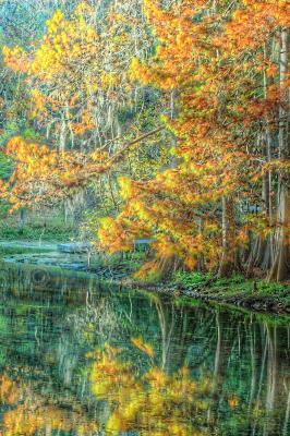 Nature - Autumn Reflections - Digital