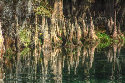 Nature - Cyprus Reflections - Digital