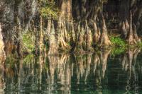 Nature - Cyprus Reflections - Digital