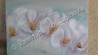 Oil Paintings - Orchid - Oil