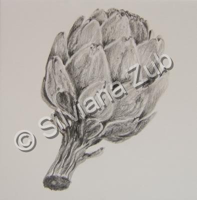 Silvianas Artwork - Artichoke Study - Pencil On Paper