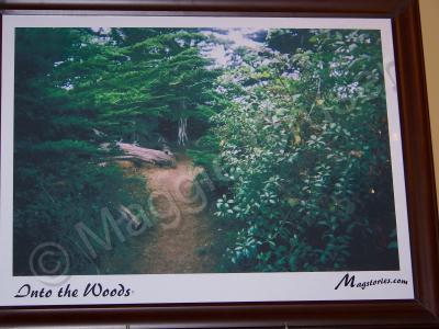 Lithographs - Into The Woods - Lithograph Paper  Phot Paper