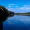 Swanee Morning - Camera Photography - By Paul Cunningham, Nature Photography Artist