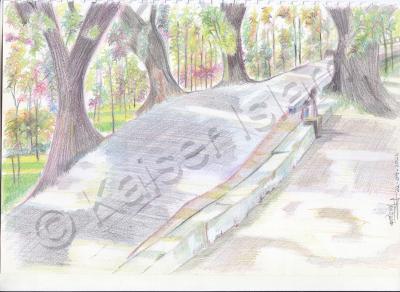 Landscape - Dc Hill Park Chittagong - Pencil  Paper