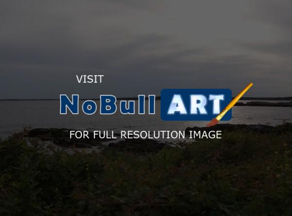 Newport - Shorelight - Digital