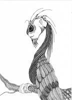 Beakless - Ink On Paper Drawings - By Joe Shivery, Surreal Drawing Artist