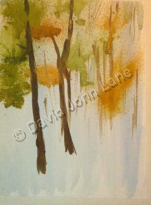 Nature - Woods In The Morning - Water Colour