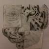 Whos Wearing Who - Charcoal Drawings - By David John Lane, People Vs Nature Drawing Artist