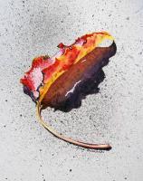 Still Life - Leaf On Fire - Watercolor