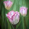 Tulips In The Fog - Watercolor Paintings - By Artist Irina Sztukowski, Realism Painting Artist